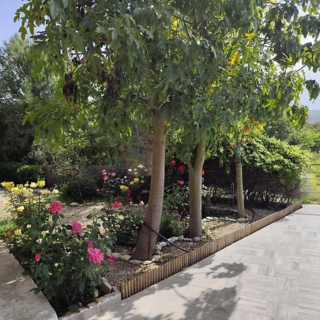Roses Villa Trimiklini ภายนอก รูปภาพ
