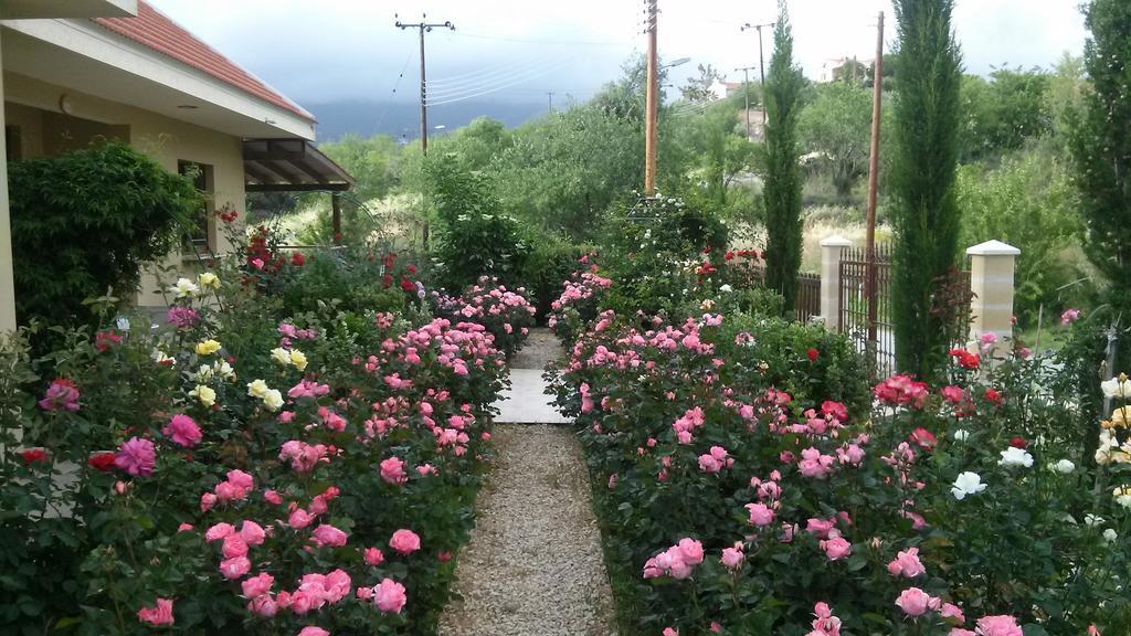 Roses Villa Trimiklini ภายนอก รูปภาพ